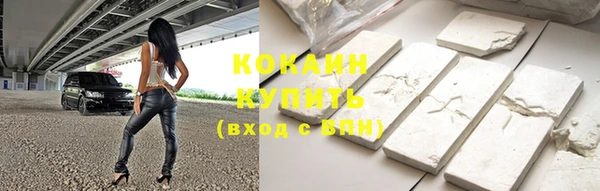 индика Абаза