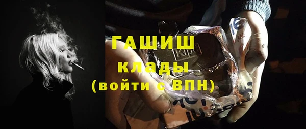индика Абаза