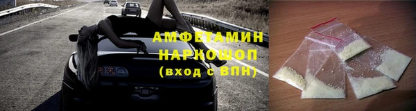 индика Абаза