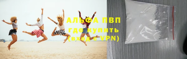 индика Абаза
