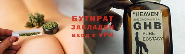 индика Абаза