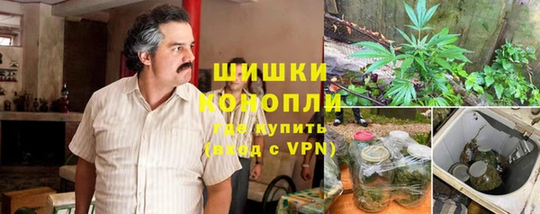 индика Абаза