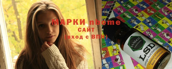 индика Абаза