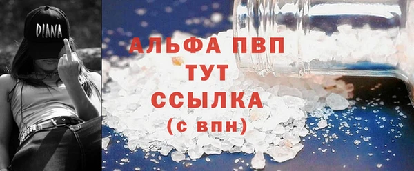 индика Абаза