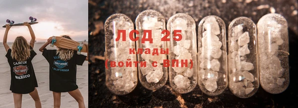 индика Абаза