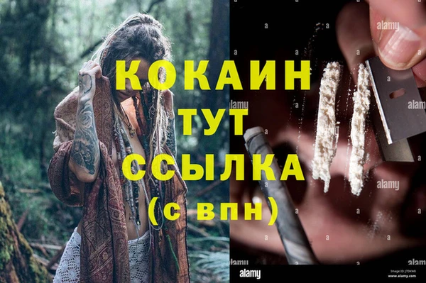индика Абаза