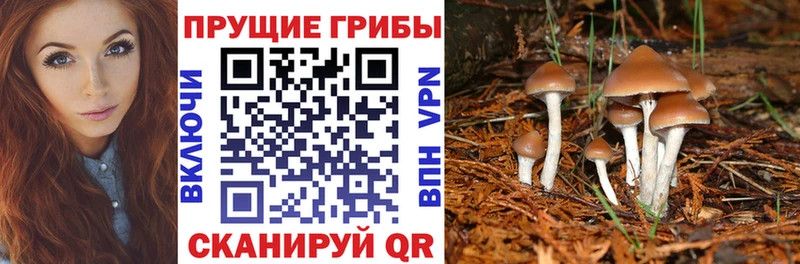 Галлюциногенные грибы MAGIC MUSHROOMS  kraken ССЫЛКА  Гагарин 