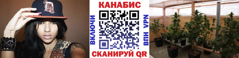 Шишки марихуана план  Гагарин 